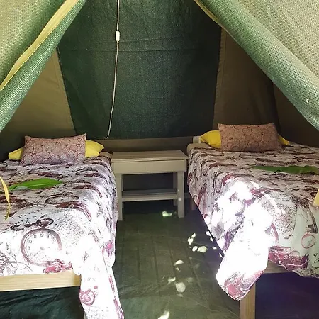 The Riverdeck Accommodation And Backpackers Knysna Exterior photo