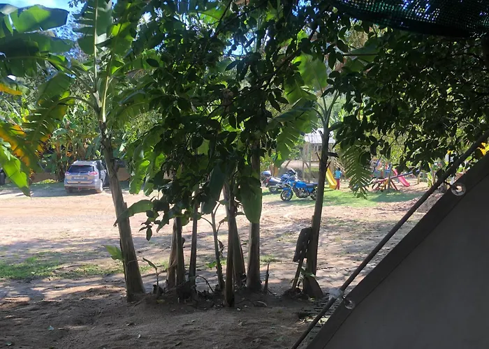 The Riverdeck Accommodation And Backpackers