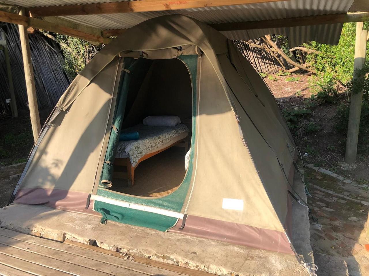 Lodge The Riverdeck And Backpackers *
