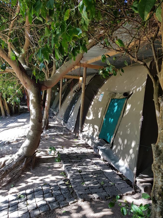 The Riverdeck And Backpackers Knysna